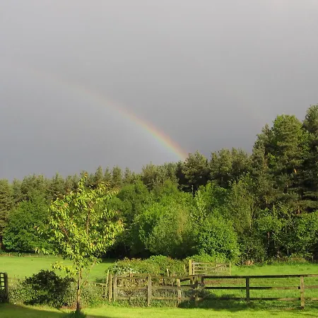 St George's Court * ريبون