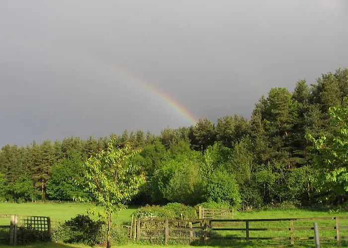 St George's Court * Ripon